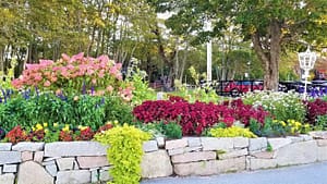 banner-twinleaf-garden-design