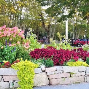 banner-twinleaf-garden-design